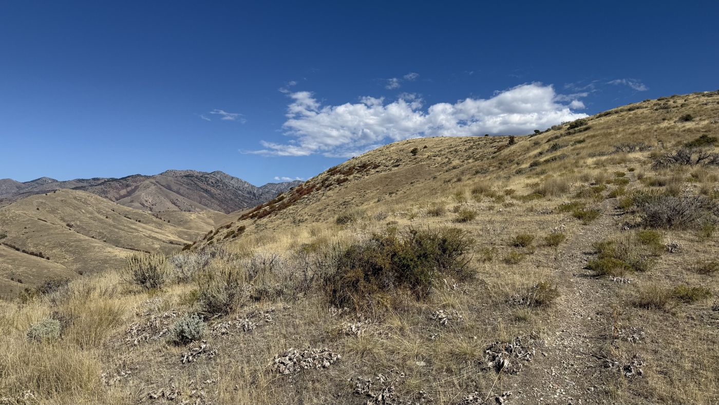 A faint trail climbing a grassy ridge toward the Bear River Range